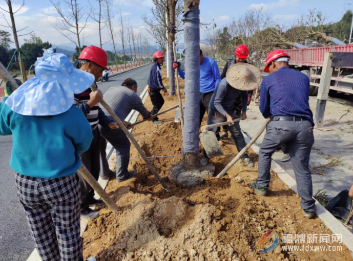 站前大道二期道路綠化工程加快推進