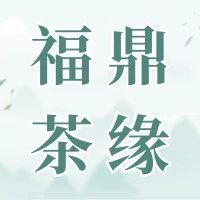 福鼎茶緣丨白茶茶經(jīng)